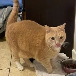 Helen & Olasard thumbnail 4