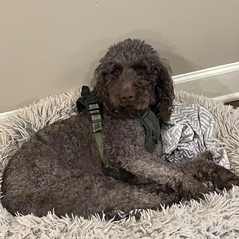 Marleehome Visit In Process thumbnail 2