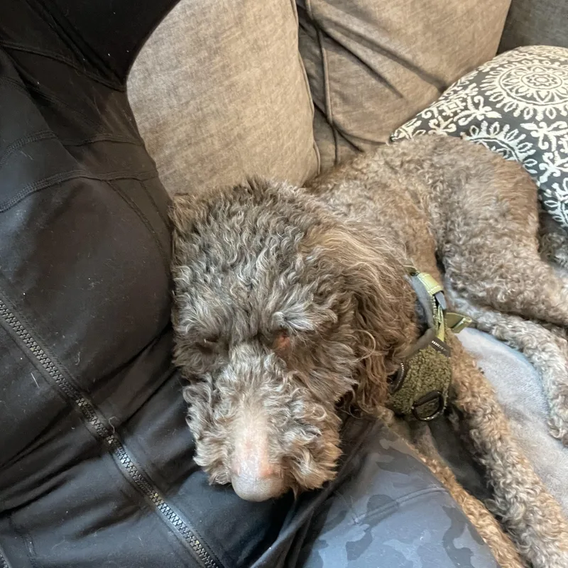 Marleehome Visit In Process thumbnail 3