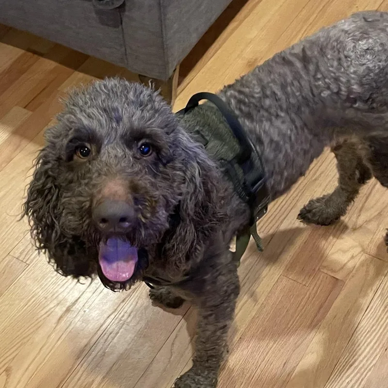 Marleehome Visit In Process thumbnail 4