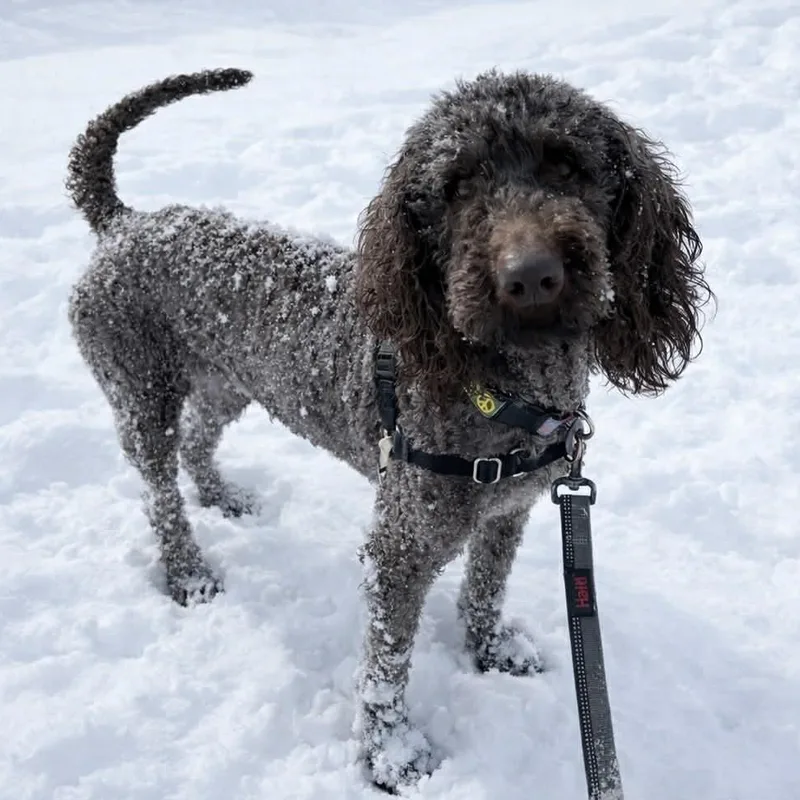 Marleehome Visit In Process thumbnail 5