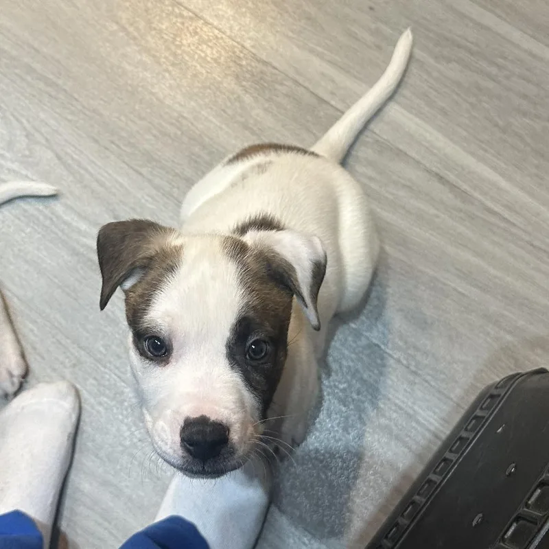 Germaine thumbnail 2