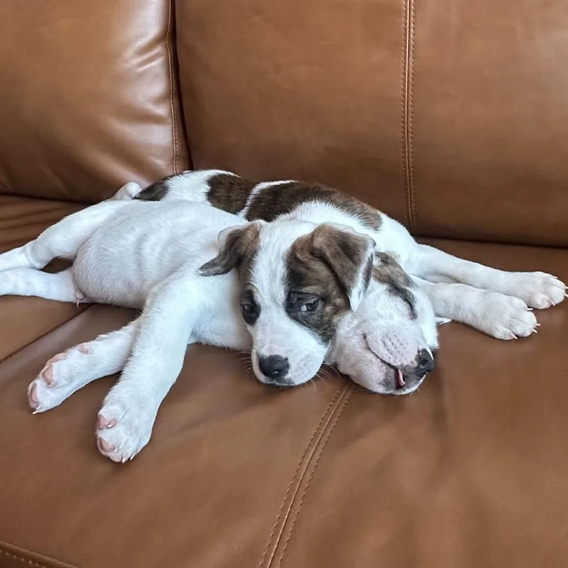 Germaine thumbnail 4