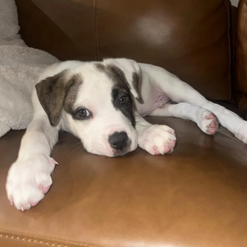 Germaine thumbnail 6