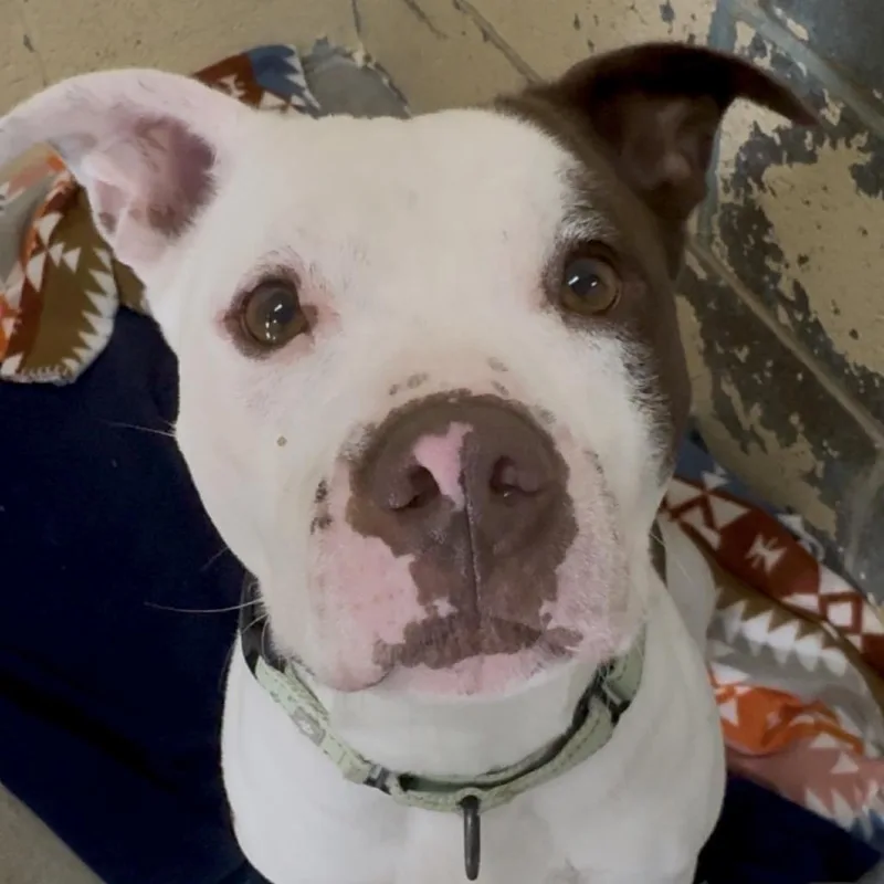 Betty Crocker K thumbnail 5