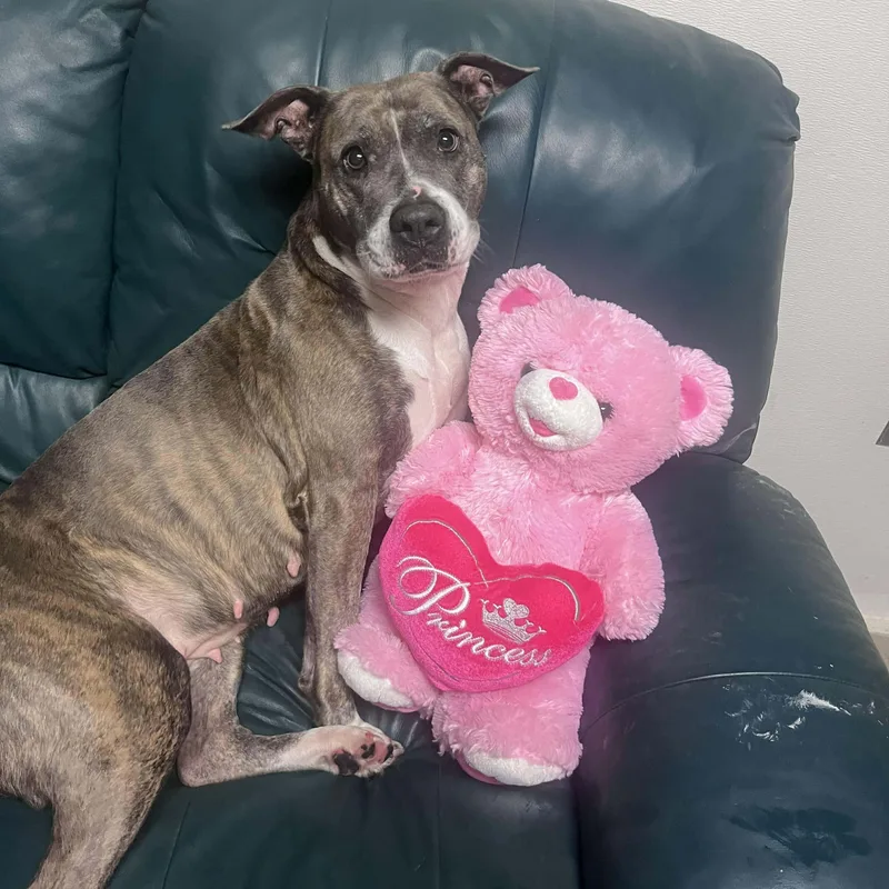 Valentina thumbnail 2