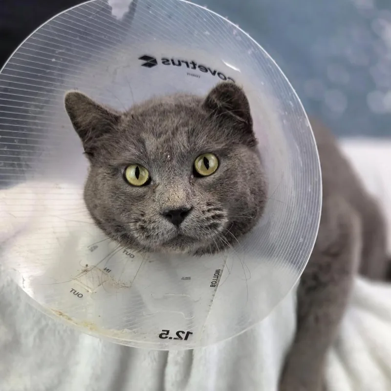 Smoke Stackc thumbnail 2