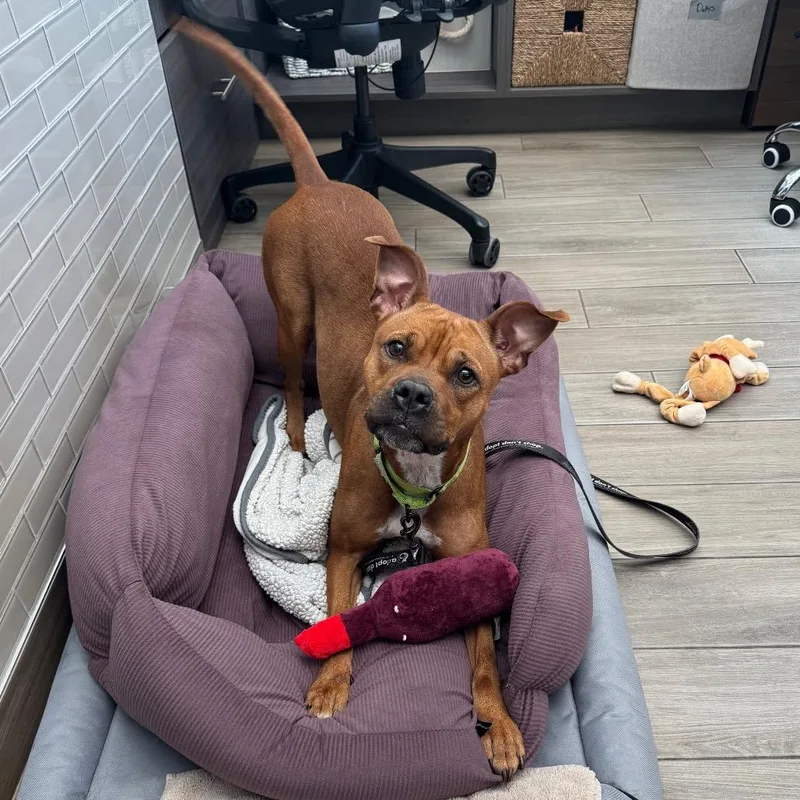 Michelle thumbnail 2