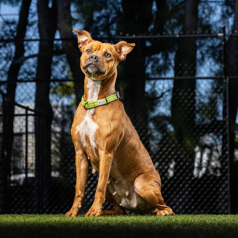 Michelle thumbnail 3