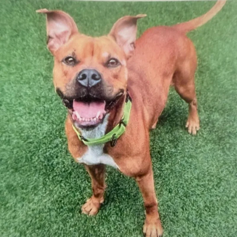 Michelle thumbnail 4