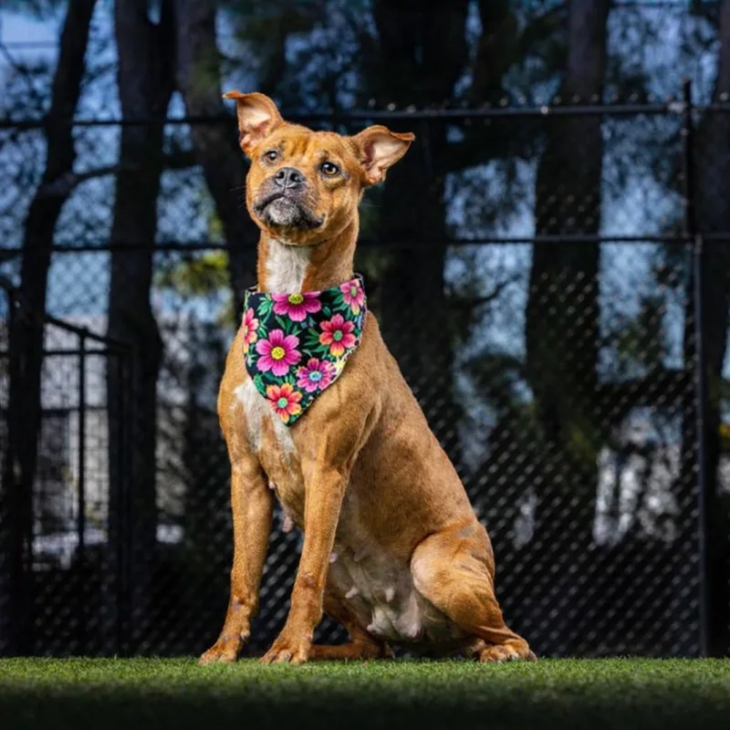 Michelle thumbnail 5