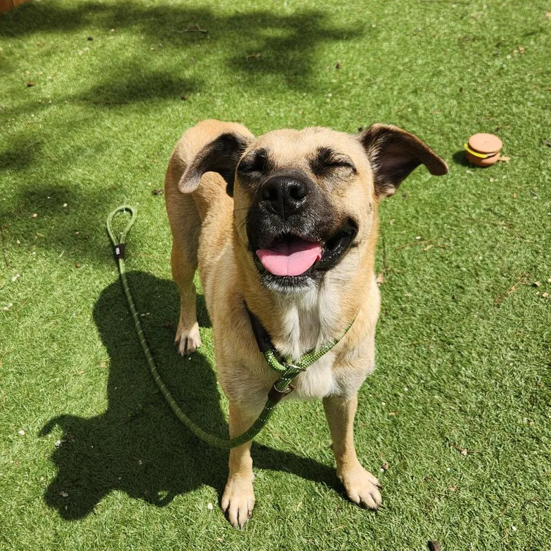 Frances Jum thumbnail 2