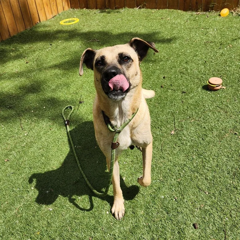 Frances Jum thumbnail 3