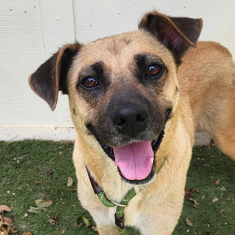 Frances Jum thumbnail 4