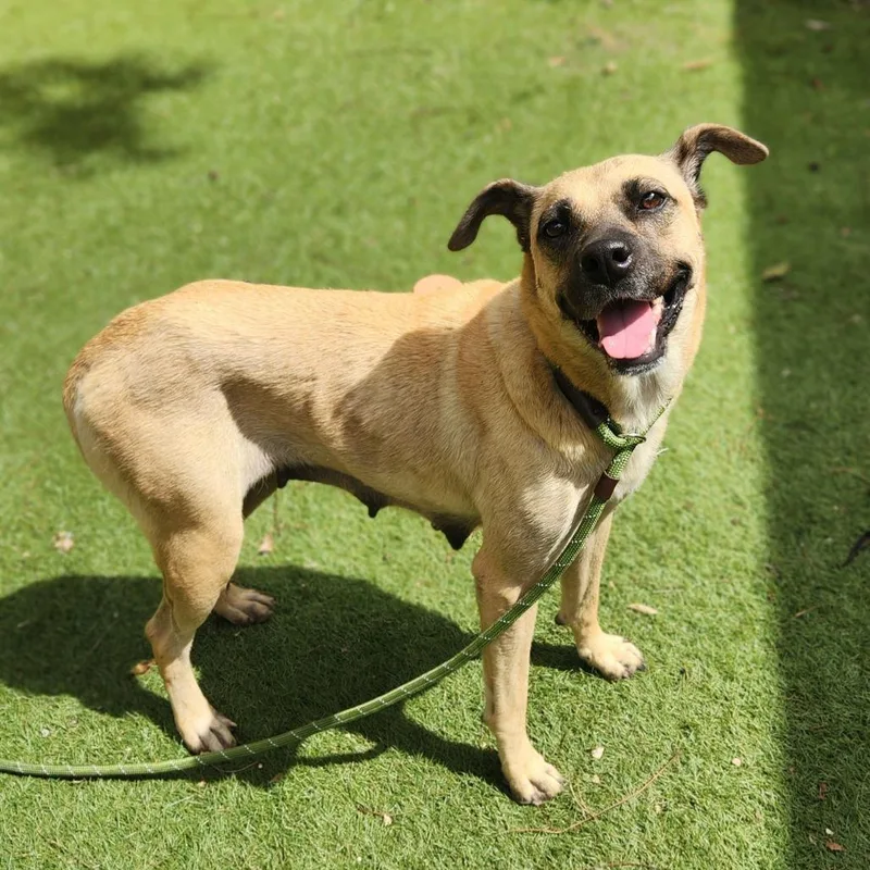 Frances Jum thumbnail 5