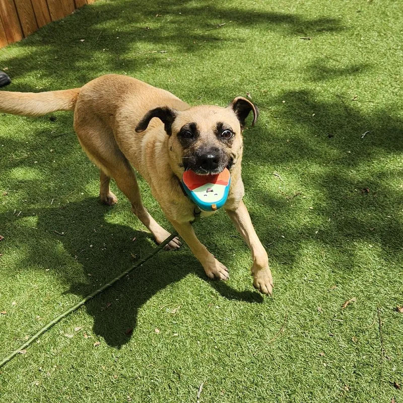 Frances Jum thumbnail 6