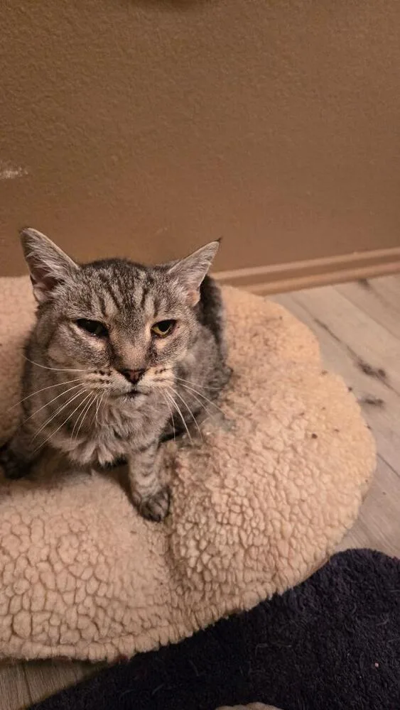 Samantha thumbnail 2