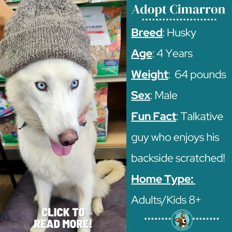 Cimarron thumbnail 3