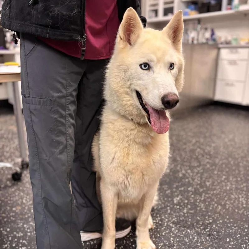 Cimarron thumbnail 6