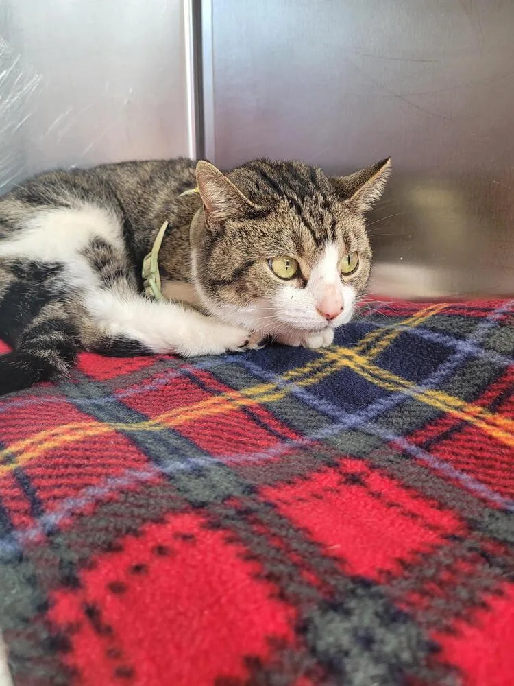 Gabrielle thumbnail 2