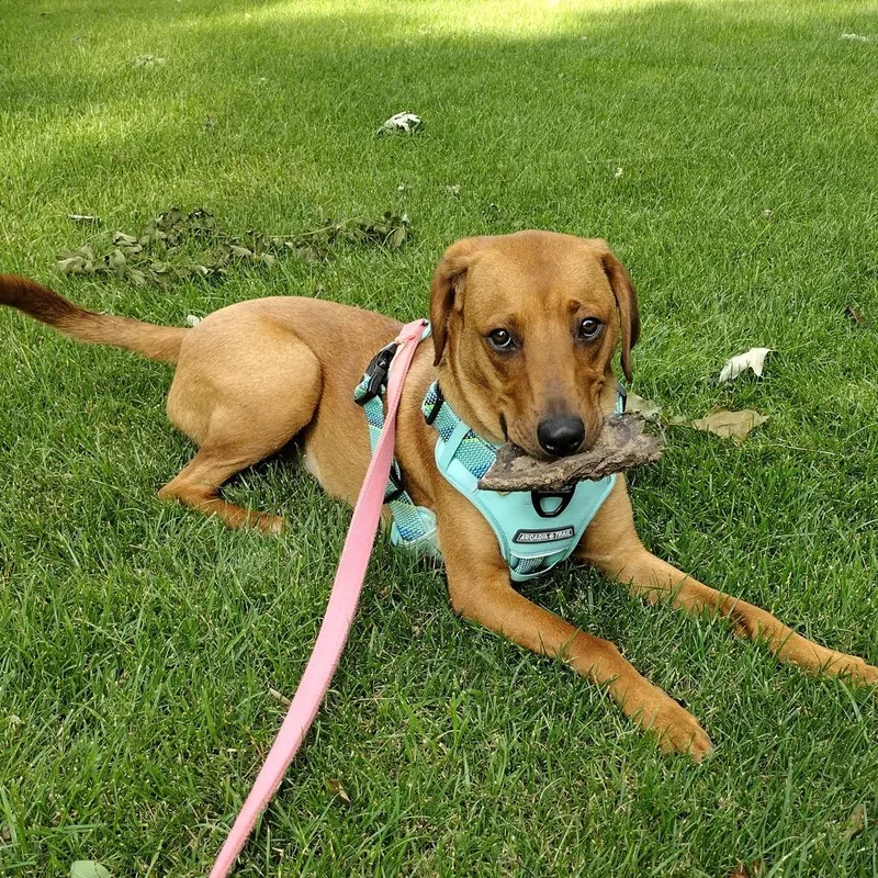 Sadie Ab thumbnail 2