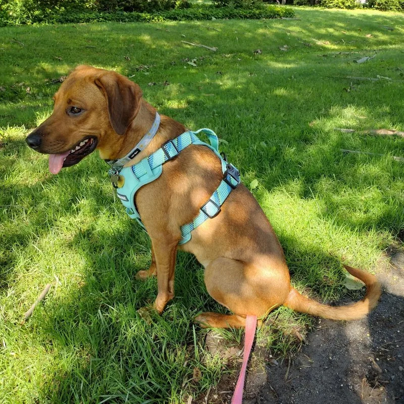 Sadie Ab thumbnail 3