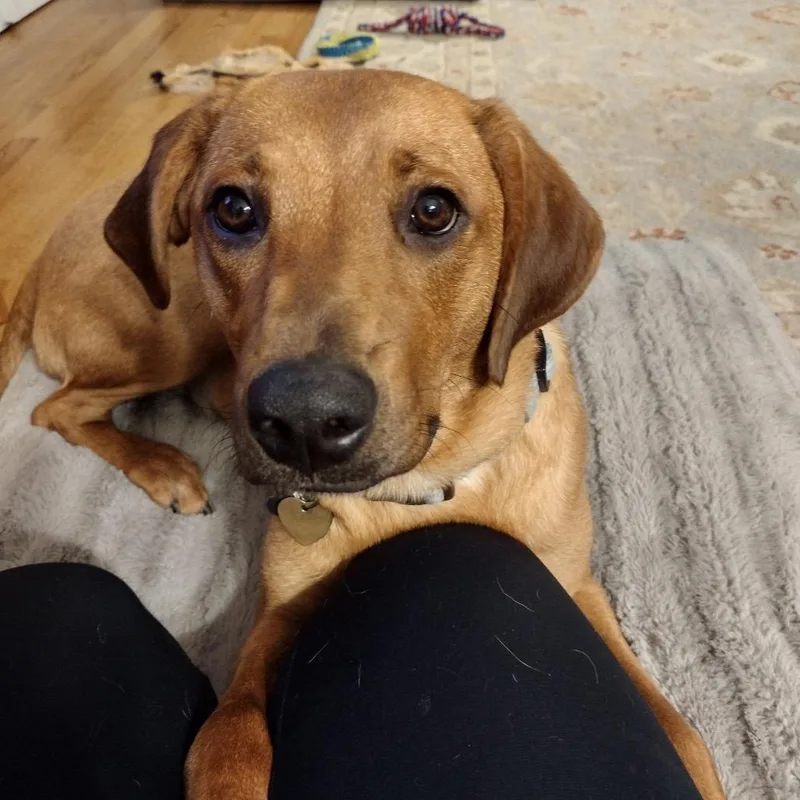 Sadie Ab thumbnail 4