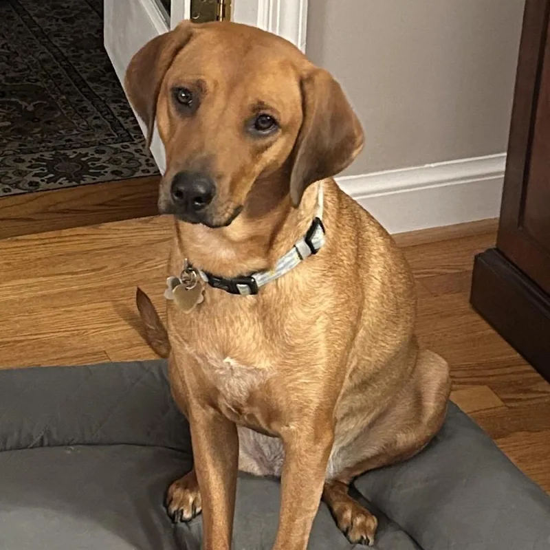 Sadie Ab thumbnail 5