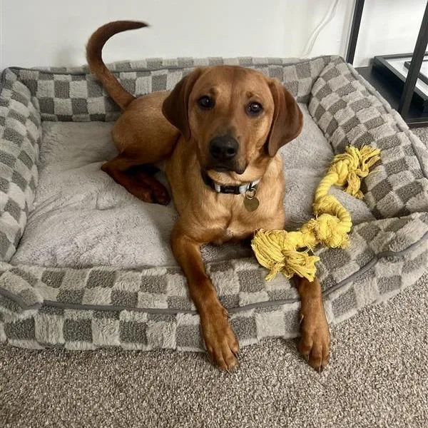 Sadie Ab thumbnail 6