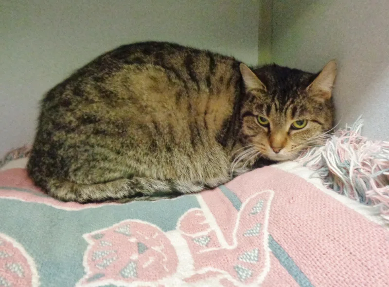 Margaret thumbnail 2