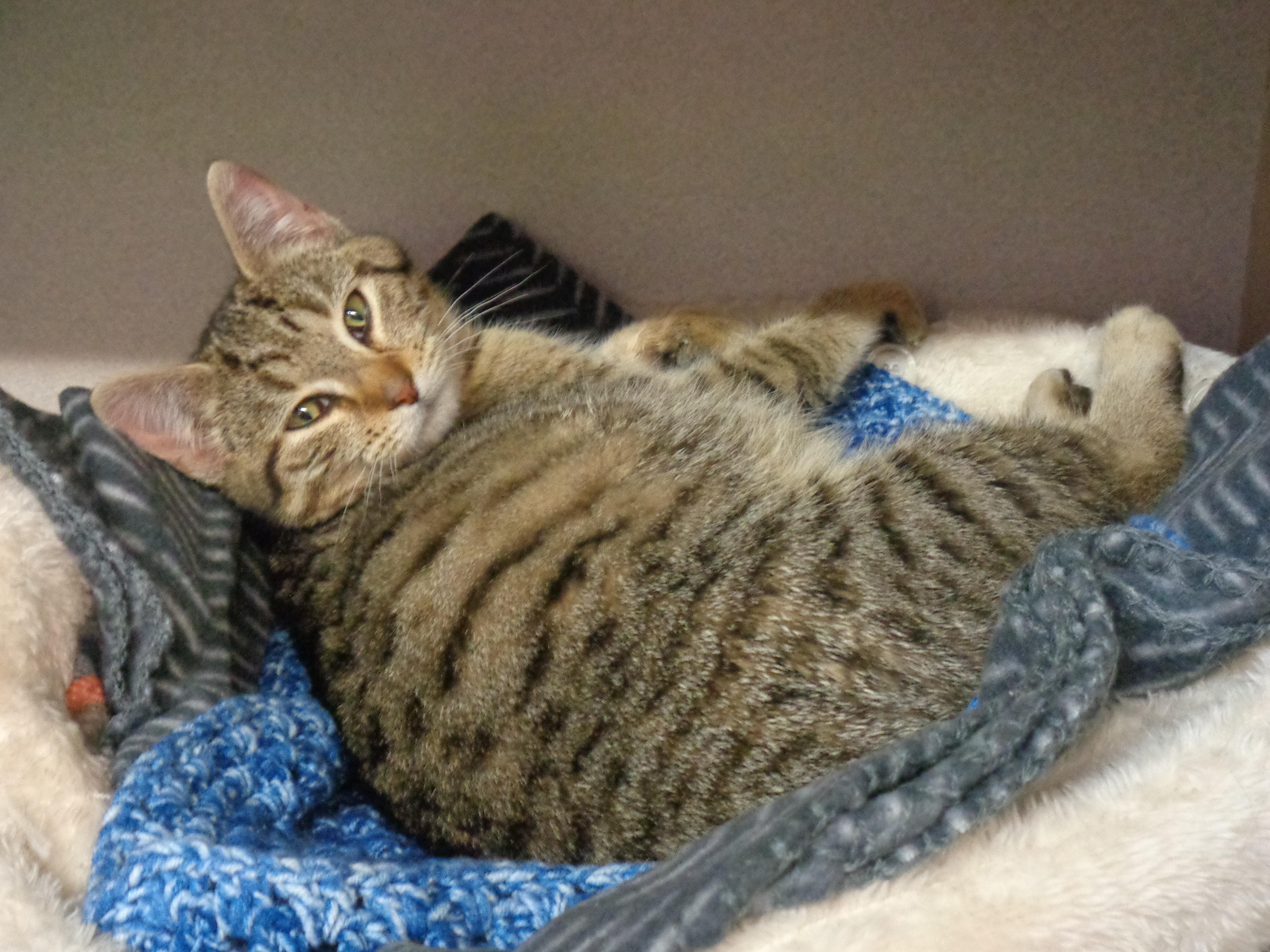 Porridge thumbnail 2