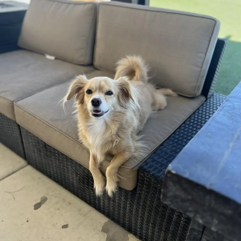 Princess thumbnail 2