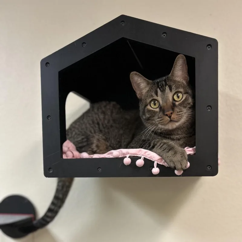 Larry  Expert Mouser thumbnail 2