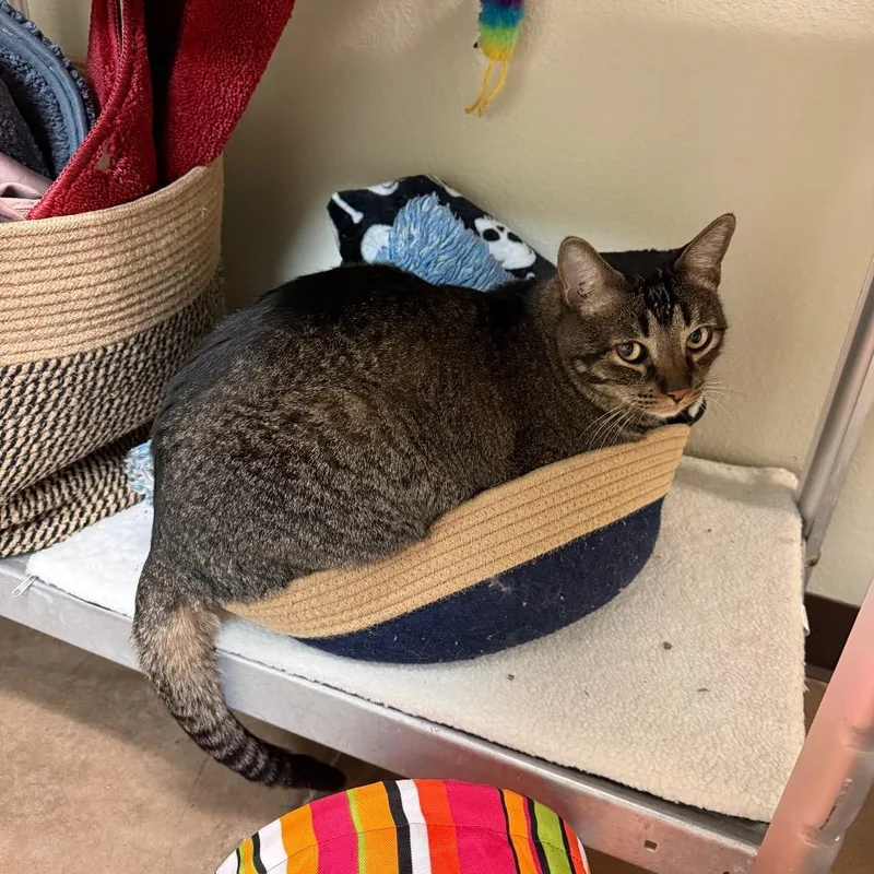 Larry  Expert Mouser thumbnail 3