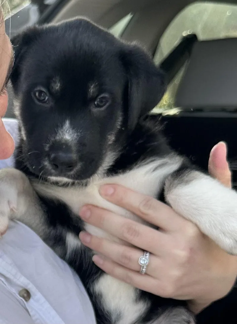 Norm Cheers thumbnail 5