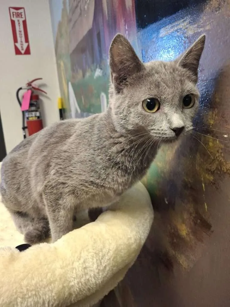 Valentina thumbnail 2