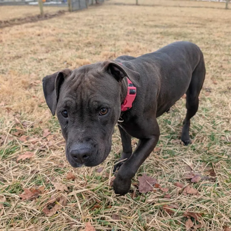 Mary Alice thumbnail 2