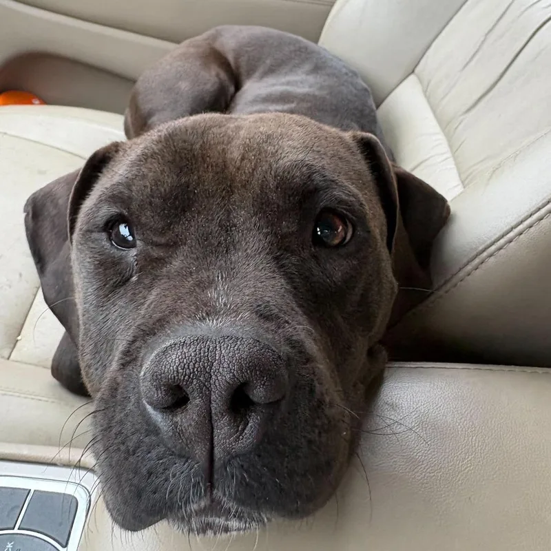 Mary Alice thumbnail 3