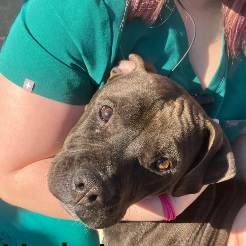 Mary Alice thumbnail 4