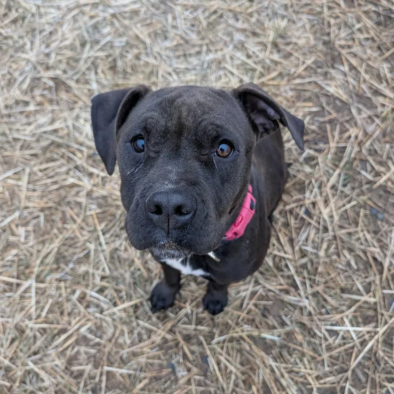 Mary Alice thumbnail 5