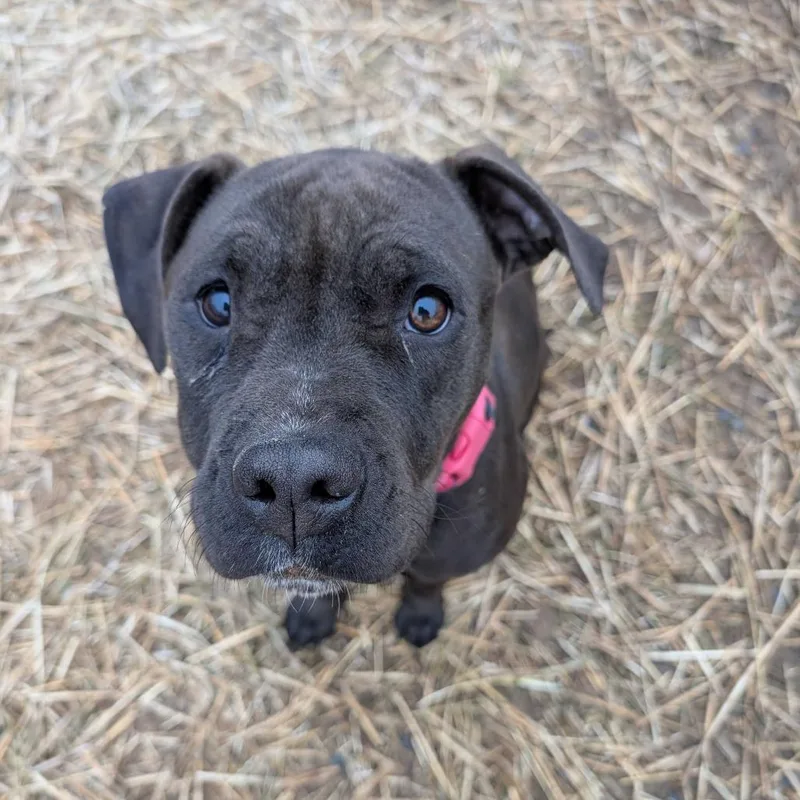 Mary Alice thumbnail 6