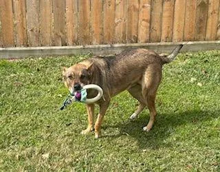 Rosieposie thumbnail 2