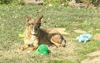 Rosieposie thumbnail 3