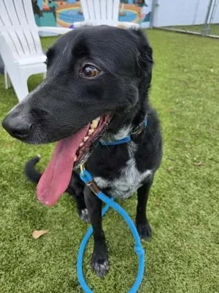 Godzilla thumbnail 2