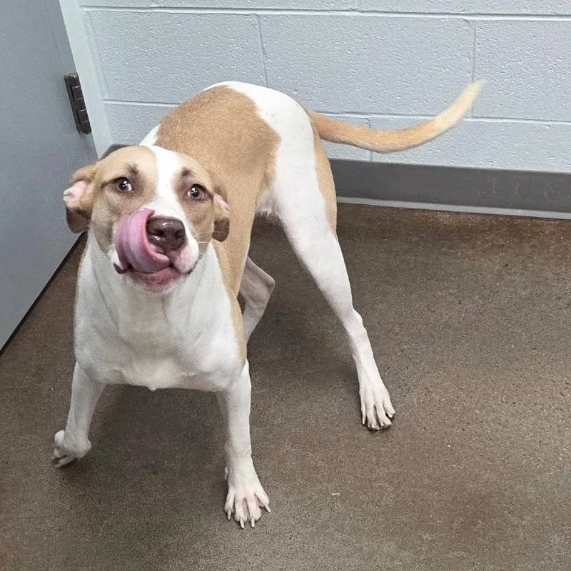 Daisy May thumbnail 2