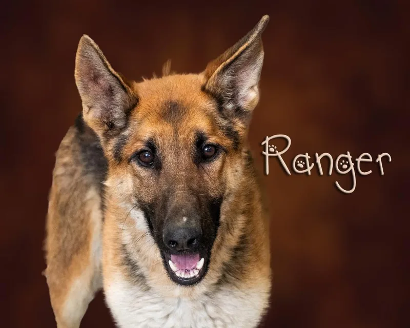 Ranger