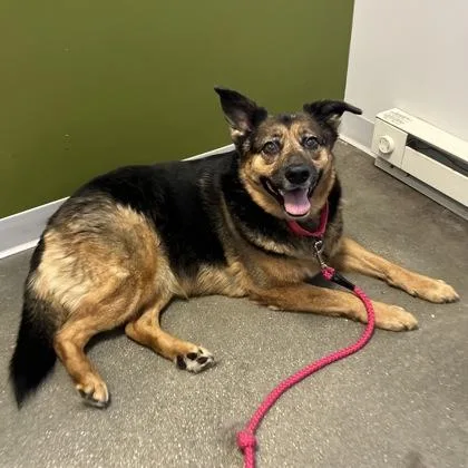 Emma Lee thumbnail 2