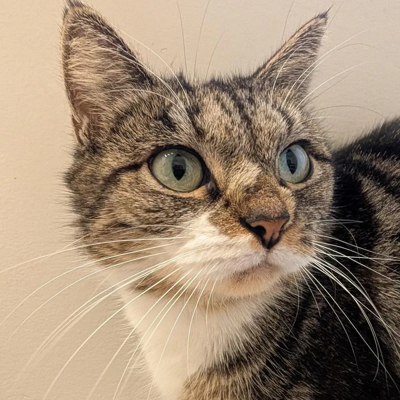 Mama Holly thumbnail 2