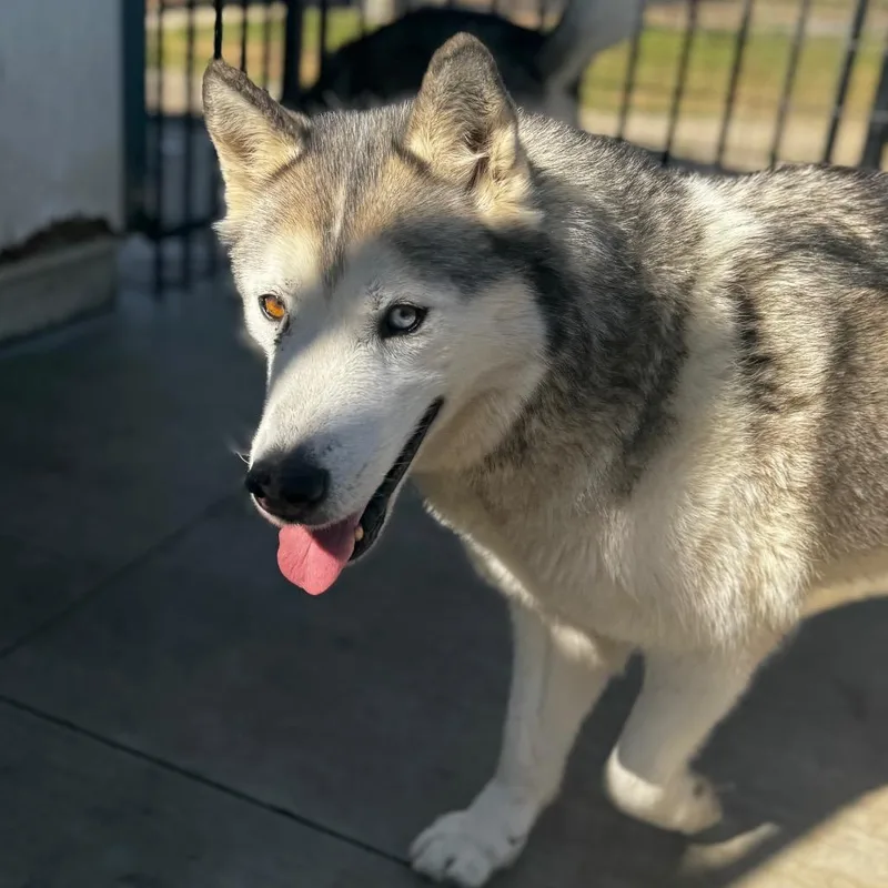 Fred Jones thumbnail 2