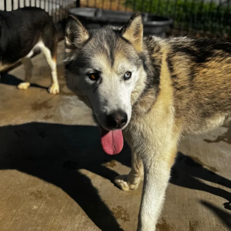 Fred Jones thumbnail 3